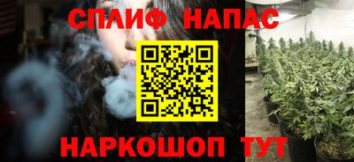сатива Балахна